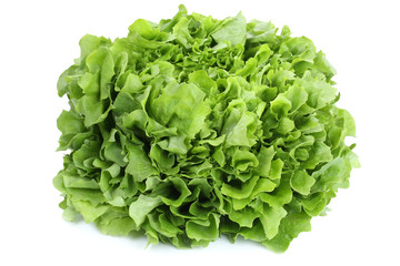 Salat Gemüse Freisteller freigestellt isoliert