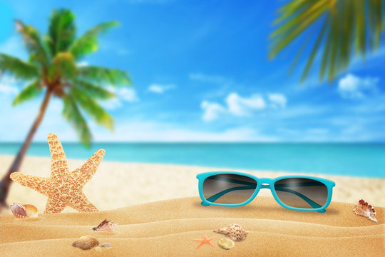 Sun glasses on beach. Starfish and shells on sand. Beach and sea with palm in background.