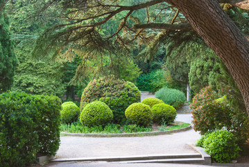 Blooming spring plants