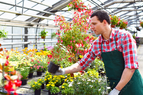 "Gärtner mit Blumen im Gewächshaus einer Gärtnerei Floristik Handel