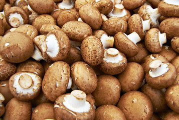 Mushrooms