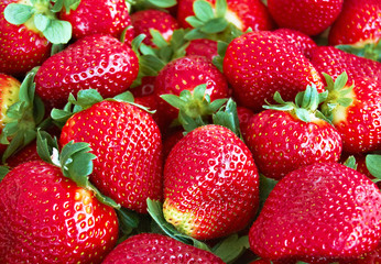 Strawberries