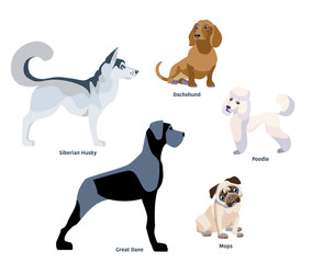 Illustration of dogs breed isolated on white Background