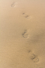 Fototapeta na wymiar Footmarks on the golden sandy beach