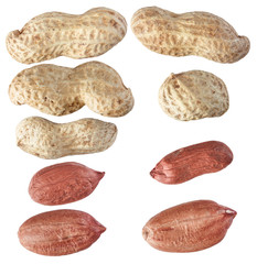 Peanuts isolate on white background, closeup, from various angle