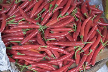 Bright red Vietnamese chilis in Hoi An market, Vietnam