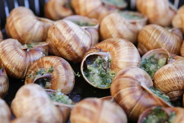 Escargot