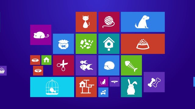 Trendy computer or mobile application app program animation of flat pet animal and accessories object icon menu in colorful geometric square block window background  in 4k ultra hd