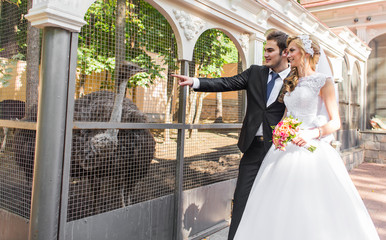 wedding couple and ostrich in zoo
