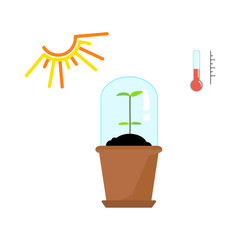 Timeline infographic of planting tree process