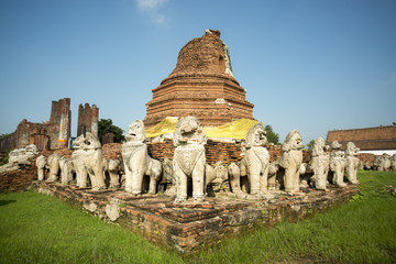 Fototapeta premium ASIA THAILAND AYUTHAYA WAT THAMMIKARAT