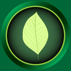 Icon usual leaf