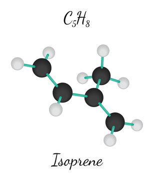 C5H8 isoprene molecule