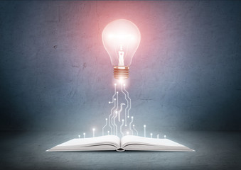 Open book and glowing light bulb over it. Knowledge, education concept