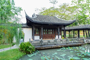 chinese garden with a pond
