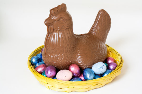 Broedende chocolade kip op chocolade paas eieren in een mandje