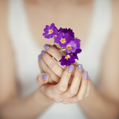 Fototapeta premium woman hands with beautiful fingernails in purple holding flowers