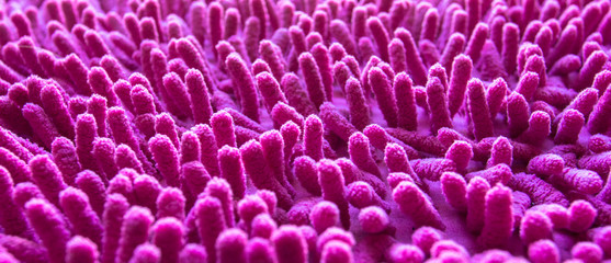 Pink carpet softness texture of doormat, close-up image
