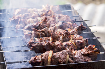 Shish kebab in smoke