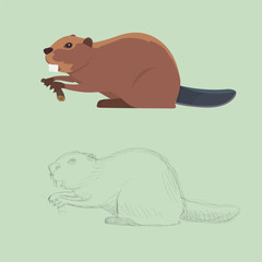 Funny cartoon beaver illustration, cartoon style