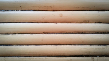 Background bamboo