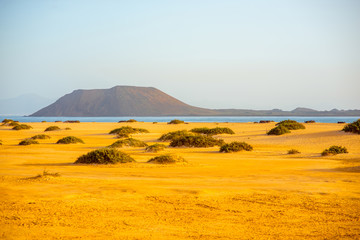 Corralejo dunes with Lobos island on the background on Fuerteventura island in Spain