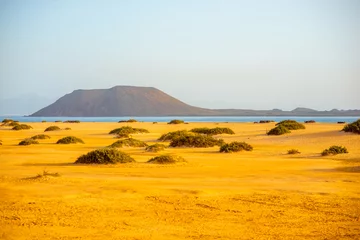 Poster Île Corralejo dunes with Lobos island on the background on Fuerteventura island in Spain