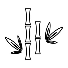 bamboo thin line icon
