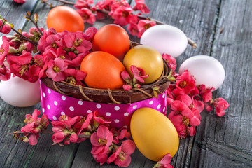Easter eggs in a basket with spring blossoming branches