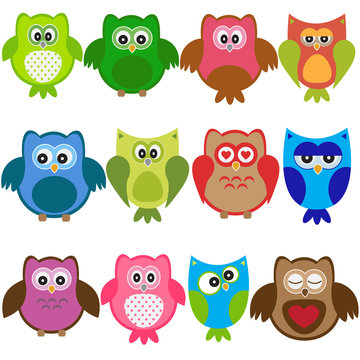 Vector set of colorful owls
