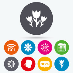 Flowers icons. Bouquet of roses symbol.