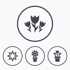 Flowers icons. Bouquet of roses symbol.