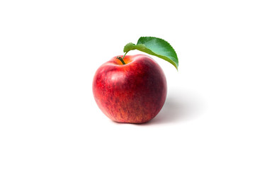 Beautiful apple fruit isolated on white