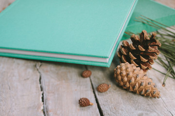 The blue book on a wooden background with cones. The big book on wooden boards. Cones close up.