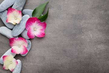 Spa stones and flowers, on grey background.
