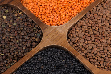 Fototapeta premium Four varieties of organic bio lentils