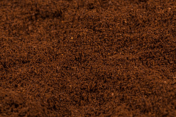 Coffee bean on powder closeup