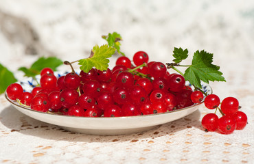 Red currant