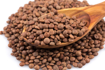 Lentils Isolated on White Background