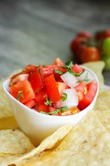 Tomato Salsa and Tortilla Chips