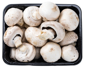 Mushrooms isolated on white