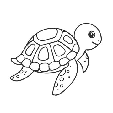 Vector Illustration of a Cute Hand Drawn Turtle