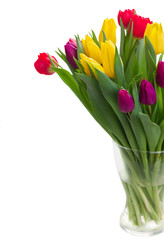 bouquet of  yellow, purple and red  tulips