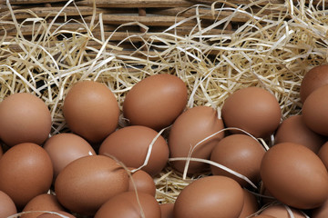 Fresh eggs in basket