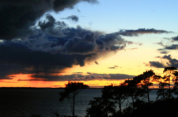 Usedom Germany Mecklenburg Vorpommern nature landscape