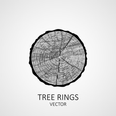 Annual tree rings. Saw cut tree trunk. Vector wood texture