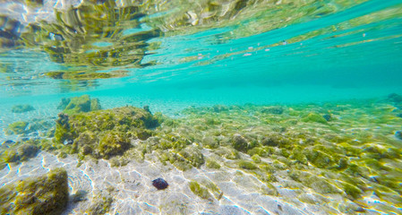 Fototapeta na wymiar sandy seabed in Sardinia