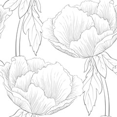 beautiful black and white seamless pattern flowers.
