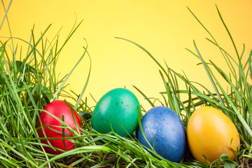 Easter colored eggs in the grass