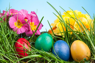 Easter colored eggs in the grass